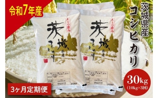 【令和7年産】【3ヶ月定期便】茨城県産コシヒカリ 10kg×3【定期便 お米 ごはん こしひかり 老舗 米屋 おにぎり ごはん 茨城県 水戸市 30キロ】(HQ-205)