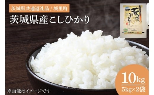 【数量限定】【令和7年産】茨城県産こしひかり 10kg（5kg×2）（茨城県共通返礼品/城里町）【お米 ごはん こしひかり おいしい 白米 茨城県産 水戸市】（IH-6250）