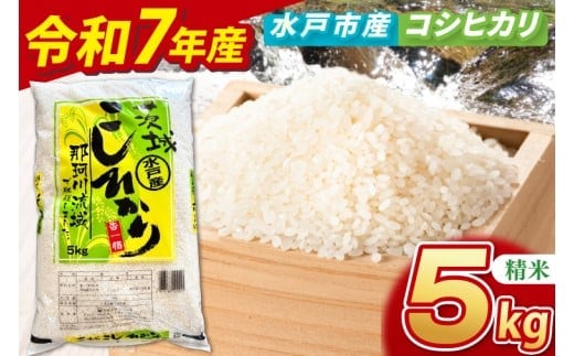 【数量限定】【令和7年産】水戸産コシヒカリ5㎏ 精米【お米 ごはん コシヒカリ おにぎり ごはん 茨城県 水戸市】(NP-3)