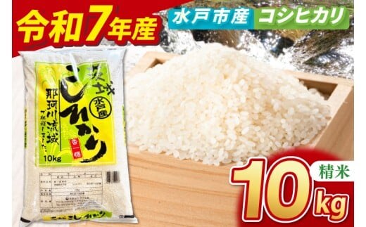 【数量限定】【令和7年産】水戸産コシヒカリ10㎏ 精米【お米 ごはん コシヒカリ おにぎり ごはん 茨城県 水戸市】(NP-4)