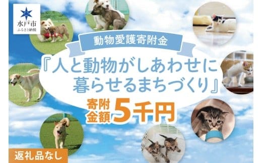 【返礼品なし】水戸市 動物愛護寄附金 Animal Welfare Donations『人と動物がしあわせに暮らせるまちづくり Creating a city where people and animals can live happily together』5000円【動物愛護 愛護活動 保護 犬 猫 いぬ ねこ 動物 ペット 応援 支援 水戸市どうぶつ愛護センター 茨城県】(LW-8)