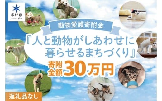 【返礼品なし】水戸市 動物愛護寄附金 Animal Welfare Donations『人と動物がしあわせに暮らせるまちづくり Creating a city where people and animals can live happily together』300000円【動物愛護 愛護活動 保護 犬 猫 いぬ ねこ 動物 ペット 応援 支援 水戸市どうぶつ愛護センター 茨城県】(LW-13)