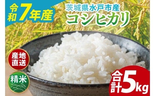 【翌月より順次発送】【数量限定】【令和7年産】茨城県産コシヒカリ 5kg【米 おこめ こしひかり 農家直送 直送 水戸市 茨城県】(ND-3)