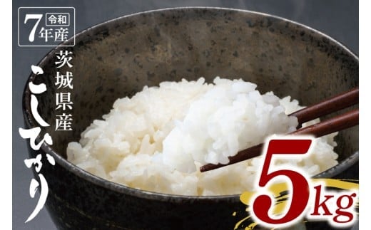 【数量限定】令和7年茨城県産コシヒカリ5kg【お米 ごはん こしひかり おにぎり ごはん 茨城県 水戸市】(NU-1)