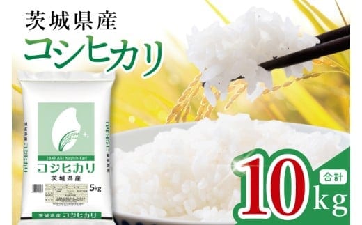 【数量限定】令和7年茨城県産コシヒカリ10kg（5kg×2袋）【お米 ごはん こしひかり おにぎり ごはん 茨城県 水戸市】(JB-16)