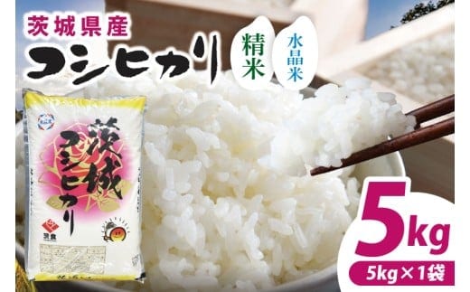 【数量限定】【令和7年産】茨城県産コシヒカリ 5kg 【お米 ごはん こしひかり おにぎり ごはん 茨城県 水戸市】(NQ-1)