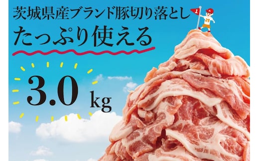 【数量限定】リピーター続出！茨城県産ブランド豚切り落とし3kg (300g×10p)【肉 豚肉 切り落とし 小分け 真空 真空パック 茨城県産 肉料理 肩ロース ウデ モモ バラ 水戸市 水戸】（EC-20）