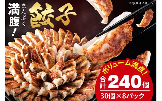 満腹餃子 リピーター続出！ボリューム満点！240個（6kg）【老舗 大容量 国産 焼き餃子 冷凍 ぎょうざ ギョーザ 冷凍餃子 簡単調理 惣菜 おかず 水戸市 水戸 茨城県】（EJ-19）