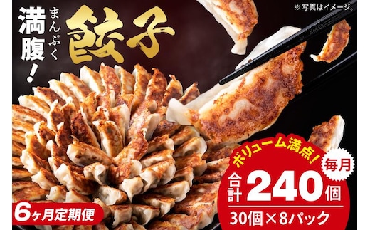 【6ヶ月定期便】満腹餃子 リピーター続出！ボリューム満点！240個（6kg）×6回【老舗 大容量 国産 焼き餃子 冷凍 ぎょうざ ギョーザ 冷凍餃子 簡単調理 惣菜 おかず 水戸市 水戸 茨城県 】（EJ-21）