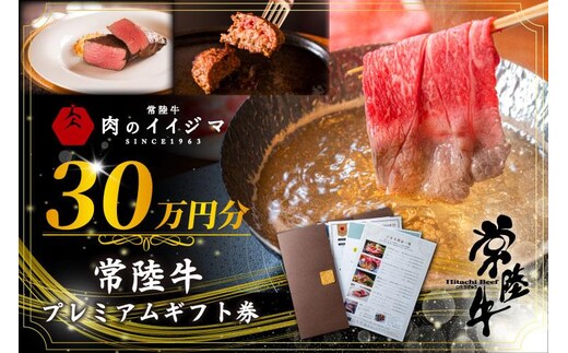 常陸牛プレミアムギフト券 30万円分【贅沢 冷凍保存 すきやき しゃぶしゃぶ 焼肉 ステーキ リブロース 肩ロース 外もも 霜降りカルビ もも厚切り 片バラ サーロイン フィレミニヨン ハンバーグ】（DU-156）