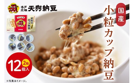 【天狗納豆】国産小粒カップ納豆（50ｇ×6個）×2箱【納豆 なっとう 小粒 老舗 朝食 ご飯 ご家庭用 ストック ソウルフード 水戸市 水戸 茨城県】（DQ-16）