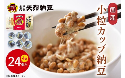 【天狗納豆】国産小粒カップ納豆（50ｇ×6個）×4箱【納豆 なっとう 小粒 老舗 朝食 ご飯 ご家庭用 ストック ソウルフード 水戸市 水戸 茨城県】（DQ-17）