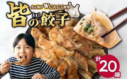 【 金満福 推奨 】皆（kai）の餃子 計20個 10個入り×2パック 餃子 ぎょうざ ギョーザ 生 揚げ にんにく 国産 手づくり 本格 中華 おかず アンテナショップ 地産地消 茨城食材 化学調味料不使用 餃子の常陸 冷凍 茨城県 水戸市（OG-4）