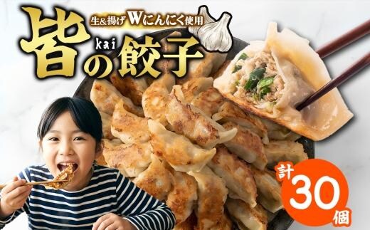 【 金満福 推奨 】皆（kai）の餃子 計30個 10個入り×3パック 餃子 ぎょうざ ギョーザ 生 揚げ にんにく 国産 手づくり 本格 中華 おかず アンテナショップ 地産地消 茨城食材 化学調味料不使用 餃子の常陸 冷凍 茨城県 水戸市（OG-5）