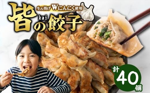 【 金満福 推奨 】皆（kai）の餃子 計40個 10個入り×4パック 餃子 ぎょうざ ギョーザ 生 揚げ にんにく 国産 手づくり 本格 中華 おかず アンテナショップ 地産地消 茨城食材 化学調味料不使用 餃子の常陸 冷凍 茨城県 水戸市（OG-6）