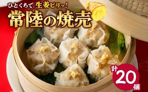【 金満福 推奨 】 常陸の焼売 計20個 10個×2パック 焼売 シュウマイ しゅうまい 生姜 国産 手づくり 本格 中華 おかず アンテナショップ 地産地消 茨城食材 レンジ調理 時短 お弁当 餃子の常陸 冷凍 茨城県 水戸市（OG-8）