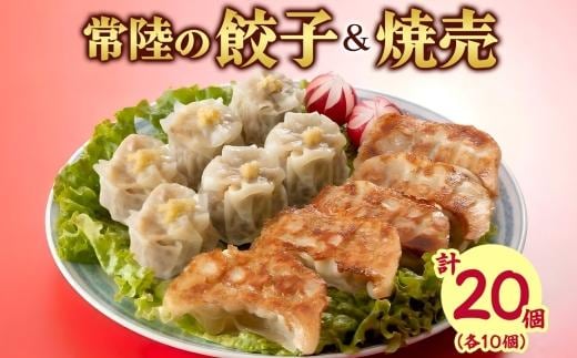 餃子＆焼売 各10個 皆の餃子 餃子 ぎょうざ ギョーザ 生 揚げ にんにく 国産 手づくり 常陸の焼売 焼売 シュウマイ しゅうまい 生姜 本格 中華 おかず アンテナショップ 地産地消 茨城食材 送料無料 茨城県 水戸市（OG-17)