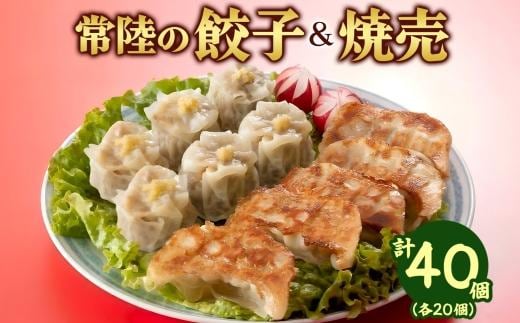餃子＆焼売 各20個 皆の餃子 餃子 ぎょうざ ギョーザ 生 揚げ にんにく 国産 手づくり 常陸の焼売 焼売 シュウマイ しゅうまい 生姜 本格 中華 おかず アンテナショップ 地産地消 茨城食材 送料無料 茨城県 水戸市（OG-18)