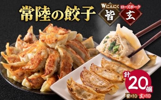 【 金満福 推奨 】餃子2種 皆（kai）＆玄（kuro） 計20個 餃子 ぎょうざ ギョーザ 生 揚げ にんにく ローズポーク 国産 手づくり 本格 中華 おかず アンテナショップ 地産地消 茨城食材 化学調味料不使用 餃子の常陸 冷凍 茨城県 水戸市（OG-11)
