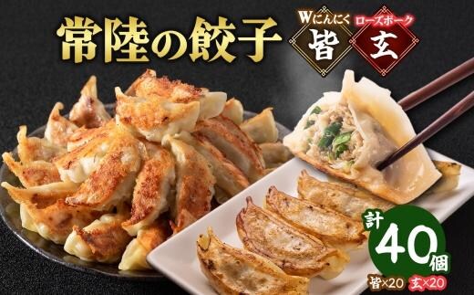 【 金満福 推奨 】餃子2種 皆（kai）＆玄（kuro） 計40個 餃子 ぎょうざ ギョーザ 生 揚げ にんにく ローズポーク 国産 手づくり 本格 中華 おかず アンテナショップ 地産地消 茨城食材 化学調味料不使用 餃子の常陸 冷凍 茨城県 水戸市（OG-13)