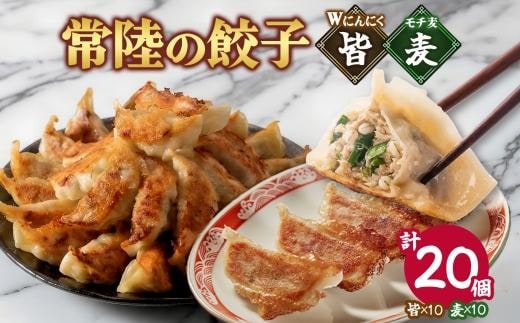 【 金満福 推奨 】餃子2種 皆（kai）＆麦（mugi） 計20個 餃子 ぎょうざ ギョーザ 生 揚げ にんにく モチ麦 もち麦 国産 手づくり 本格 中華 おかず アンテナショップ 地産地消 茨城食材 化学調味料不使用 餃子の常陸 冷凍 茨城県 水戸市（OG-14)