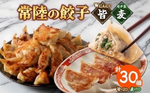 【 金満福 推奨 】餃子2種 皆（kai）＆麦（mugi） 計30個 餃子 ぎょうざ ギョーザ 生 揚げ にんにく モチ麦 もち麦 国産 手づくり 本格 中華 おかず アンテナショップ 地産地消 茨城食材 化学調味料不使用 餃子の常陸 冷凍 茨城県 水戸市（OG-15)