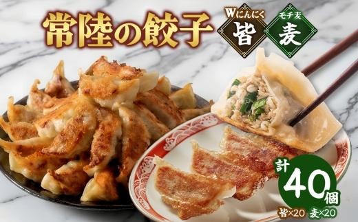 【 金満福 推奨 】餃子2種 皆（kai）＆麦（mugi） 計40個 餃子 ぎょうざ ギョーザ 生 揚げ にんにく モチ麦 もち麦 国産 手づくり 本格 中華 おかず アンテナショップ 地産地消 茨城食材 化学調味料不使用 餃子の常陸 冷凍 茨城県 水戸市（OG-16)