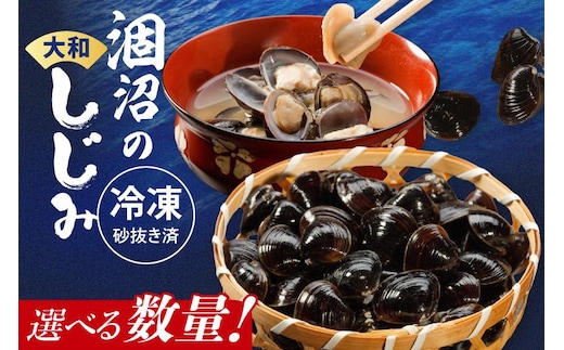 【選べる内容量】涸沼のプリップリ大粒冷凍しじみ（砂抜き済）大粒・中粒 国産 蜆 シジミ すなぬき クール オルニチン 小分け 味噌汁 栄養 貝汁 贈り物 ギフト 茨城県 水戸市】BJ-5a