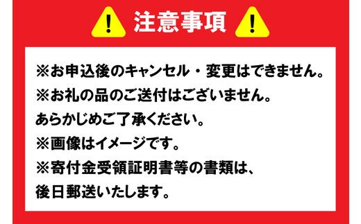 GT-4 【返礼品なし】 茨城県 水戸市 ふるさと応援寄附金 ( 10,000円