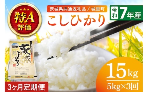 【数量限定】【3ヶ月定期便】【令和7年産】茨城県産こしひかり 計15kg（5kg×3回）（茨城県共通返礼品/城里町）（IH-2052）