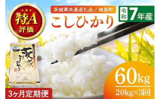 【数量限定】【3ヶ月定期便】【令和7年産】茨城県産こしひかり 計60kg（20kg×3回）（茨城県共通返礼品/城里町）（IH-2060）