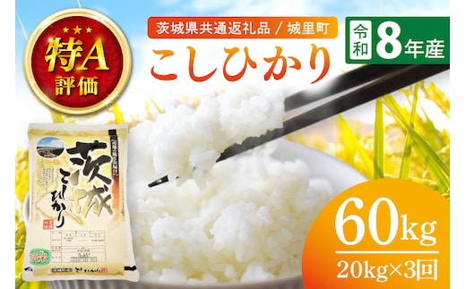 【数量限定】【2026年10月より順次発送】【3ヶ月定期便】【令和8年産 新米】茨城県産こしひかり 計60kg（20kg×3回）（茨城県共通返礼品/城里町）（IH-2160）