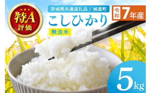 【数量限定】【令和7年産】茨城県産 コシヒカリ無洗米 5kg（茨城県共通返礼品/城里町）【お米 ごはん こしひかり おいしい 白米 茨城県産 水戸市】（IH-111）