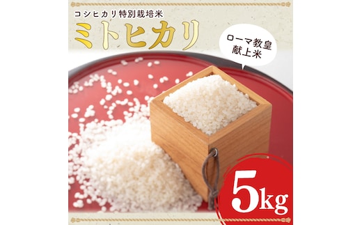 【数量限定】ローマ教皇献上米 令和7年産ミトヒカリ（コシヒカリ特別栽培米）※離島への発送不可※着日指定送不可 【新米 お米 ごはん こしひかり 5キロ 白米 茨城県産 水戸市】（AN-2）