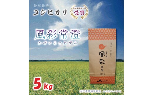 【令和7年産】特別栽培米コシヒカリ「風彩常澄」5kg （FC-101）