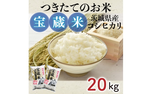 【令和7年産】茨城県産コシヒカリ 宝蔵米 20kg【お米 米 菊池 こしひかり つきたてのお米 食味ランキング特A評価 茨城県 水戸市】（CZ-1008）