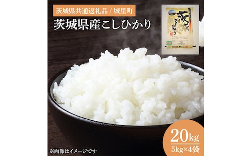 【数量限定】【令和7年度産 新米】茨城県産こしひかり 20kg（5kg×4）（茨城県共通返礼品/城里町）【お米 ごはん コシヒカリ おにぎり ごはん 桂農産 茨城県 水戸市】（IH-2051）