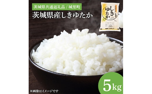 【数量限定】【令和7年度 新米】茨城県産しきゆたか（茨城県共通返礼品/城里町）5kg【お米 米 おにぎり 粒が大きい 茨城県】（IH-1079）