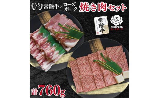 【常陸牛 A5ランク・ローズポーク焼肉セット】常陸牛カルビ360ｇ＋ローズポーク400ｇ（ロース200ｇ・ばら200ｇ） 冷凍 国産牛 和牛 牛肉 豚肉 ブランド豚 茨城県 水戸市 食べ比べ セット商品 国産 BBQ 20000円以内 老舗精肉店 EK-48