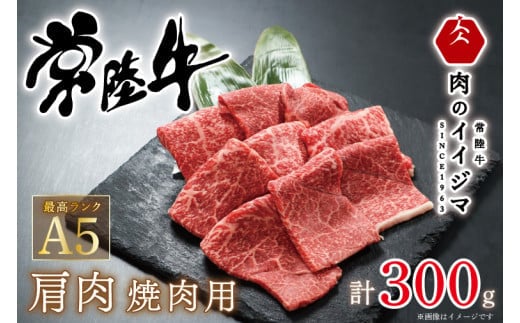 肉 常陸牛A5 肩肉 焼肉 300g 1万円 10000円 プレゼント 誕生日 箱入り 熨斗対応 お歳暮 ギフト対応 内祝い 出産 結婚 快気 茨城県 水戸市 【肉のイイジマ】（DU-49）