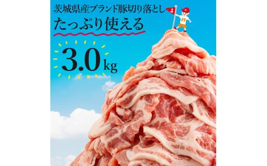 【数量限定】リピーター続出！茨城県産ブランド豚切り落とし3kg (300g×10p)【肉 豚肉 切り落とし 小分け 真空 真空パック 茨城県産 肉料理 肩ロース ウデ モモ バラ 水戸市 水戸】（EC-101）