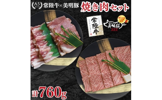 【常陸牛 A5ランク・美明豚焼肉セット】常陸牛カルビ360ｇ＋美明豚400ｇ（ロース200ｇ・ばら200ｇ） 冷凍 国産牛 和牛 牛肉 豚肉 ブランド豚 茨城県 水戸市 食べ比べ セット商品 国産 BBQ 20000円以内 老舗精肉店 EK-23