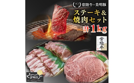 【常陸牛 A5ランク・美明豚ステーキ焼肉セット】常陸牛サーロイン600ｇ（300ｇ×２枚）＋美明豚400ｇ（ロース200ｇ・ばら200ｇ） 冷凍 国産牛 和牛 牛肉 豚肉 ブランド豚 茨城県 水戸市 食べ比べ セット商品 国産 BBQ 35000円以内 老舗精肉店 EK-35
