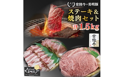 【常陸牛 A5ランク・美明豚ステーキ焼肉セット】常陸牛サーロイン900ｇ（300ｇ×３枚）＋美明豚600ｇ（ロース300ｇ・ばら300ｇ） 冷凍 国産牛 和牛 牛肉 豚肉 ブランド豚 茨城県 水戸市 食べ比べ セット商品 国産 BBQ 老舗精肉店 EK-36