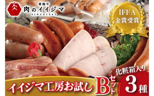 ハム ソーセージ 詰め合わせ IFFA金賞イイジマ工房お試しBセット 9000円 ウインナー ベーコン ローズポーク シャルキュトリー お歳暮 ギフト対応【肉のイイジマ】 茨城県 水戸市（DU-93）