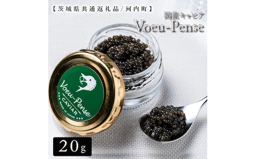 【12月より発送】【数量限定】国産キャビアVoeu-Pense【茨城県共通返礼品/河内町】【国産 キャビア 高級 冷凍 珍味 贈答 手土産 水戸市】（GQ-1）