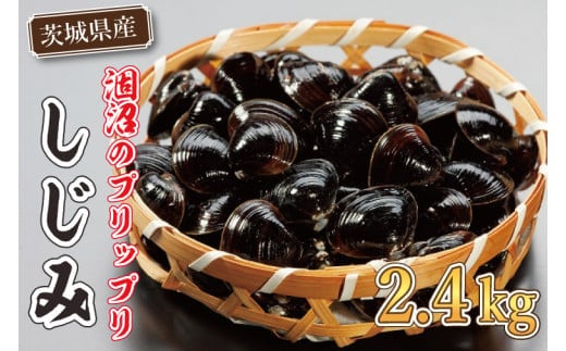 涸沼のプリップリ中粒冷凍しじみ（砂抜き済）【蜆 シジミ 10000円以内 クール すなぬき 味噌汁 栄養 貝汁 贈り物 ギフト 水戸市】（BJ-1）
