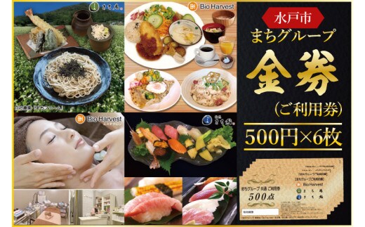 まちグループ 金券(ご利用券)【飲食チケット チケット お食事券 水戸市 茨城県】（BZ-1）