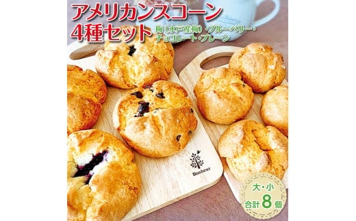 アメリカンスコーン４種（大・小）セット 【ベーカリー パン おやつ 食事 セット 詰め合わせ 卵不使用 焼き菓子 梅ジャム ブルーベリー チョコレート 冷凍 水戸市 水戸 茨城県】（DD-6）