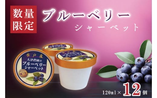 ブルーベリーシャーベット １２個【ブルーベリー ブルーベリーアイス ブルーベリーシャーベット シャーベット 採れたて ブルーベリー園 果物 果実 フルーツ】（FQ-1）